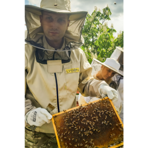 Ochrona pszczol