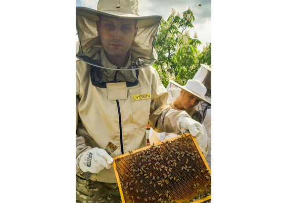 Ochrona pszczol