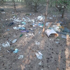 Akcja sprzątania lasu w Bydgoszczy na osiedlu Glinki