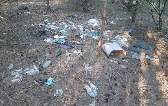 Glinki_08_2020_zdjęcienr1 Akcja sprzątania lasu w Bydgoszczy na osiedlu Glinki