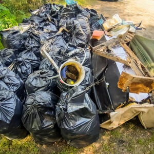 Akcja sprzątania lasu z CIS w Bydgoszczy na osiedlu Kapuściska