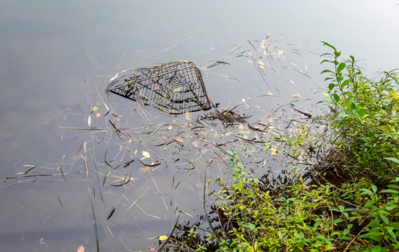 Akcja sprzątania nabrzeży rzeki Brda w Bydgoszczy