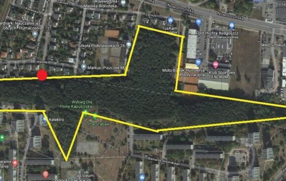 MapaKapuściska SprzątaMY Kapuściska 08.11.2020