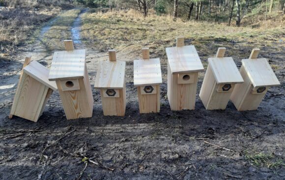 Akcja wieszania budek dla ptaków