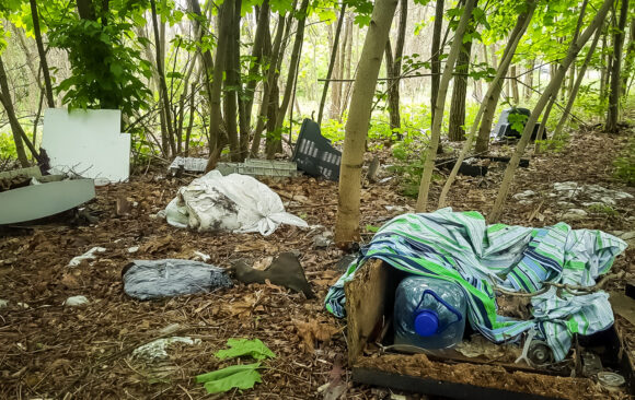 Akcja sprzątania lasu w Bydgoszczy na osiedlu Czyżkówko