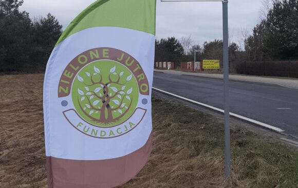 Akcja sprzątania lasu i bagien w Zamościu