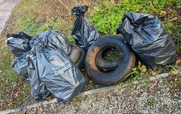 Akcja sprzątania terenów zielonych w Bydgoszczy na osiedlach Wilczak i Jary