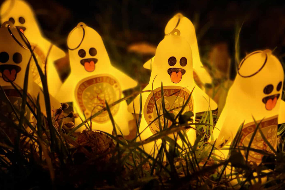 Halloweenowe sprzątanie okolic Kanału Bydgoskiego 001 Halloweenowe sprzątanie okolic Kanału Bydgoskiego 001