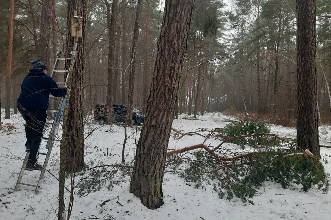 Przegląd budek lęgowych Przegląd budek lęgowych