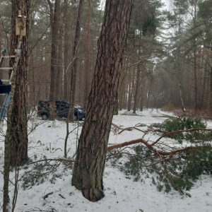 Przegląd budek lęgowych Przegląd budek lęgowych