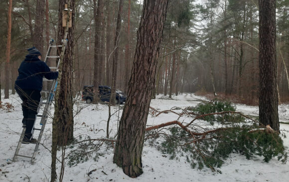 Przegląd budek lęgowych Przegląd budek lęgowych