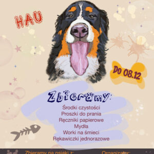 Zbiórka dla Fundacji Ostatnia Przystań Zbiórka dla Fundacji Ostatnia Przystań