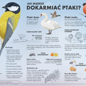 Jak-dokarmiać-ptaki Jak dokarmiać ptaki