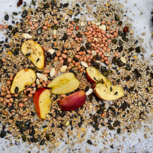 Twoja ptasia stołówka Twoja ptasia stołówka