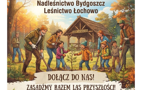 Społeczne sadzenie lasu Łochowo
