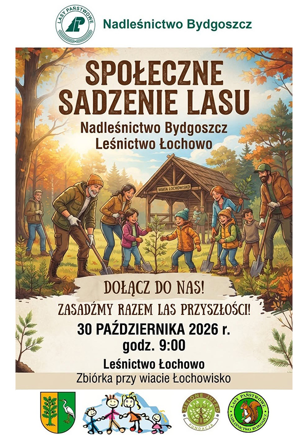 Społeczne sadzenie lasu Łochowo Społeczne sadzenie lasu Łochowo